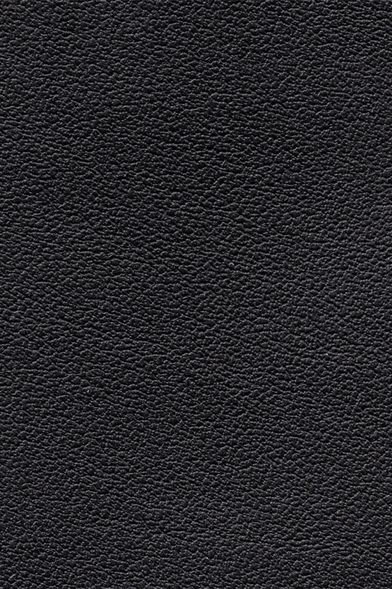 Черные кеды из кожи