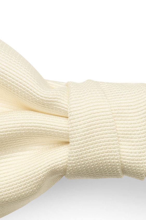 Бабочка молочного цвета