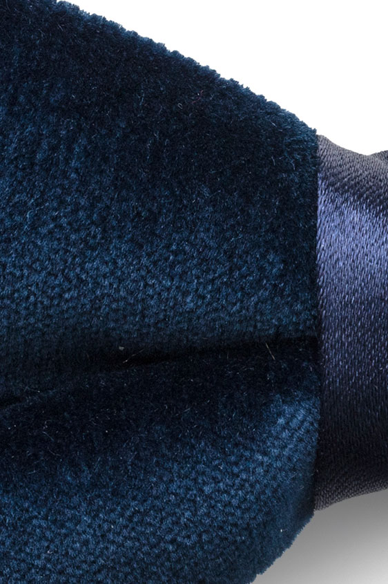 Синяя бархатная бабочка