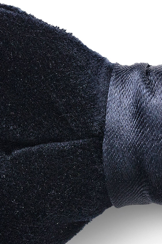 Темно-синяя бархатная бабочка